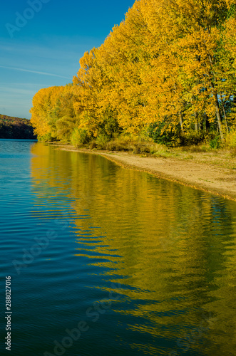 Reflection Of Tree In The Water Stock Photo And Royalty