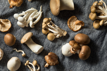 Raw Organic Gourmet Mushroom Assortment