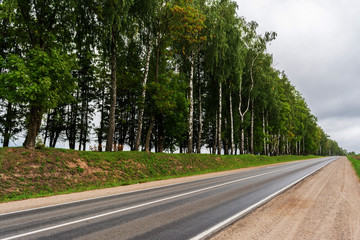 asphalt road with a sandy roadside, green area with often planted trees, landscape overcast autumn day