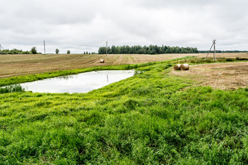 agricultural field after harvesting with round bales of straw, landscape with a pond on a cloudy autumn day