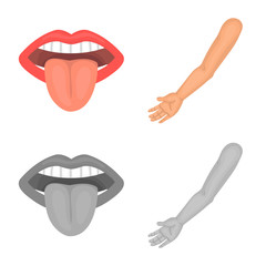 Vector design of body and part sign. Set of body and anatomy stock vector illustration.