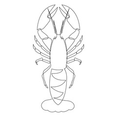 Lobster illustration drawn by one line. Minimalist style vector illustration