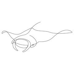 Manta ray illustration drawn by one line. Minimalist style vector illustration - obrazy, fototapety, plakaty