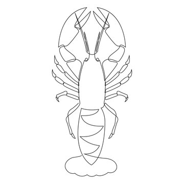 Lobster illustration drawn by one line. Minimalist style vector illustration