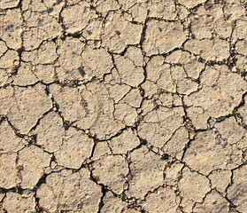 cracked earth texture, dry soil