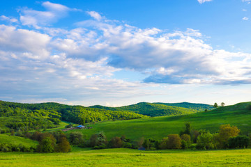 Fototapeta na wymiar Scenic panoramic view of rolling countryside green farm fields with sheep, cow and green grass.