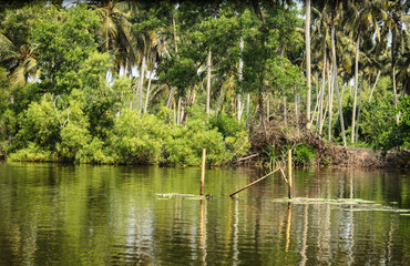 Obraz premium Shooting place backwaters