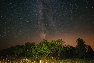 Night sky with milky way over the forest summer night