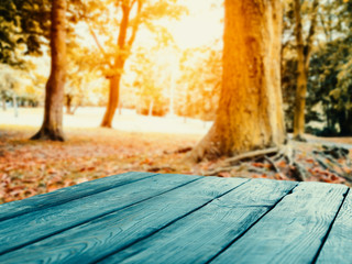 Wooden table top with autumn background. Empty space for decoration, text or products.