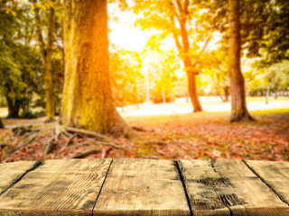 Naklejka na ściany i meble Wooden table top with autumn background. Empty space for decoration, text or products.