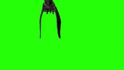A flock of vampire bats flying in a green screen. Halloween concept.