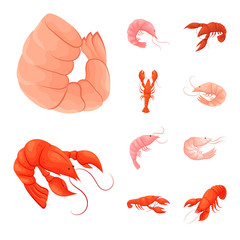 Vector design of shrimp and crab icon. Collection of shrimp and sea stock symbol for web.