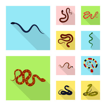 Isolated object of skin and reptile logo. Collection of skin and danger vector icon for stock.