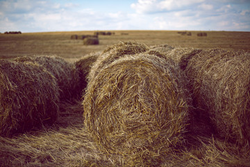 large haystacks stand in a mowed field at sunset