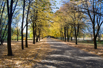 People walk along the walkway of autumn park