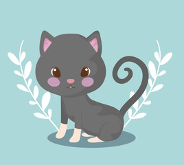 cute cat baby animal with leafs