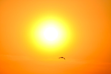 Sunset golden sky,typography design,photo