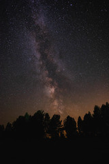 Night sky with milky way over the forest summer night