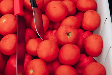 Close-up of delicious juicy fresh tomatoes collected in white plastic basket. Harvest concept. Red...