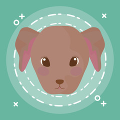 head of cute puppy dog baby animal