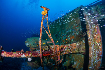 A large underwater shipwreck surrounded by coral and tropical fish (Similan Islands, Thailand)