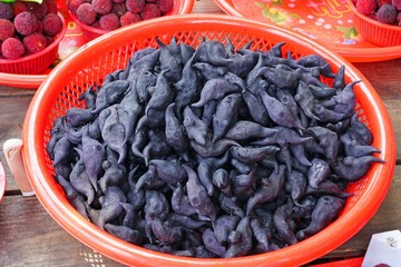 View of black water caltrop water chestnuts shaped like bats (buffalo nut, bat nut, devil pod, ling nut, lin kok, ling kio nut, mustache nut)