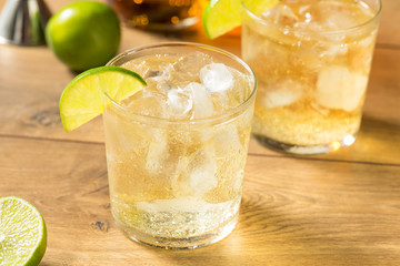 Homemade Rum and Tonic Cocktail