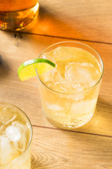 Homemade Rum and Tonic Cocktail