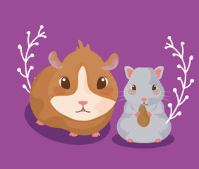 guinea pig with hamster baby animals