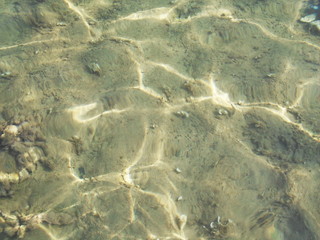 морское дно