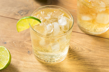 Homemade Rum and Tonic Cocktail