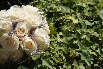 Bouquet blanco con fondo de hojas verdes