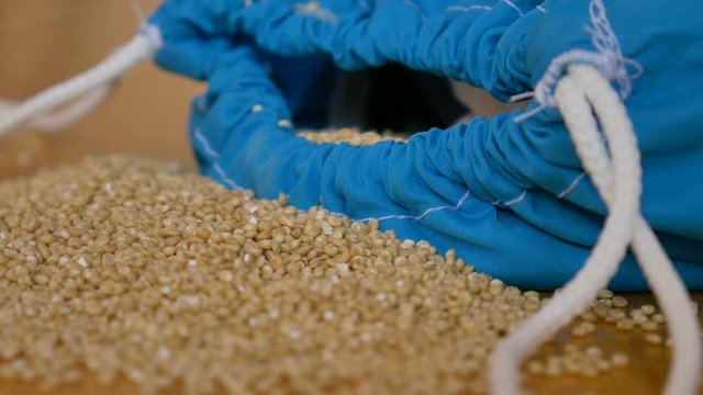 White quinoa seeds in transparent blue reusable bag on wooden background. Vegetarian food concept