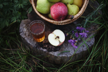 apple juice and wicker basket full of apples amd pears over summer nature background