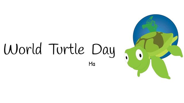 World Turtle Day banner illustrated on white.