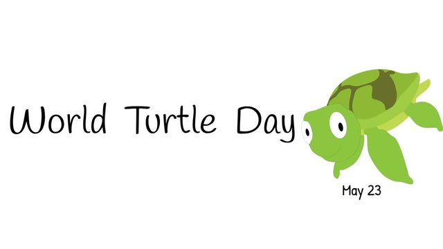 World Turtle Day banner illustrated on white.