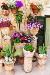 Fototapeta na wymiar Italy, Apulia, Metropolitan City of Bari, Monopoli. Flowers in planters outside a stone building.