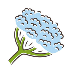 Cow parsnip blue color icon