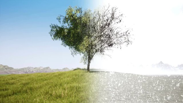Summer and winter landscape 3d realistic footage