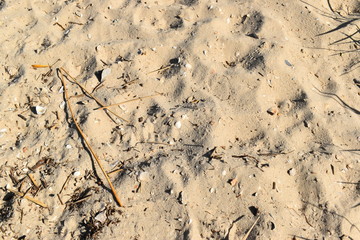 Sand