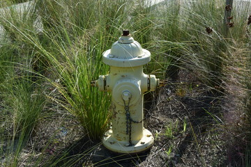 fire hydrant
