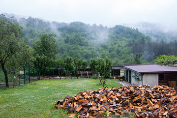 wooden logs in the forest. Green landscape, rural life in the mountanious region