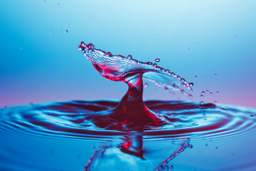 drop of water falling down in the water 