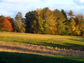 Naklejka premium colorful autumn landscape, harvested field and forest edge, scenic rural fall 