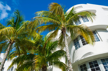Fototapeta na wymiar Detail close-up of typical curving Art Deco architecture with tropical palm trees on Ocean Drive in South Beach, Miami, Florida