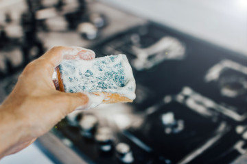 cleaning the kitchen, cleaning a modern gas stove with a sponge and foam.