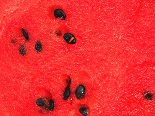 Watermelon seeds сlose up.