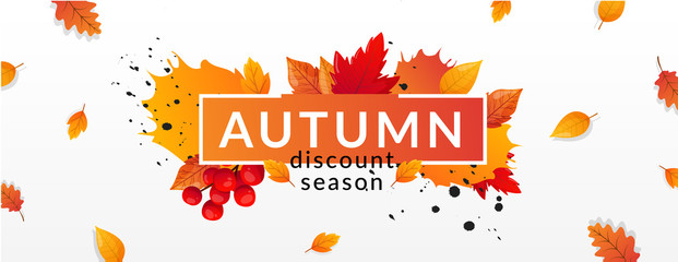 Autumn Fall Season Sale Ad Banner.