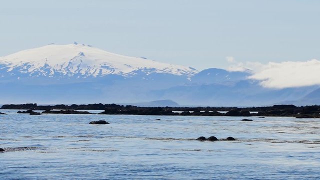 Ytri Tunga -  beach in Iceland.