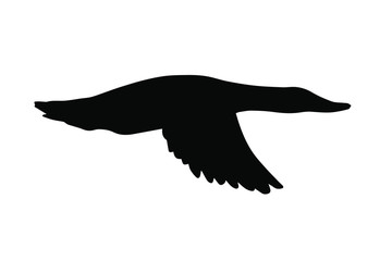 Vector black duck silhouette isolated on white background